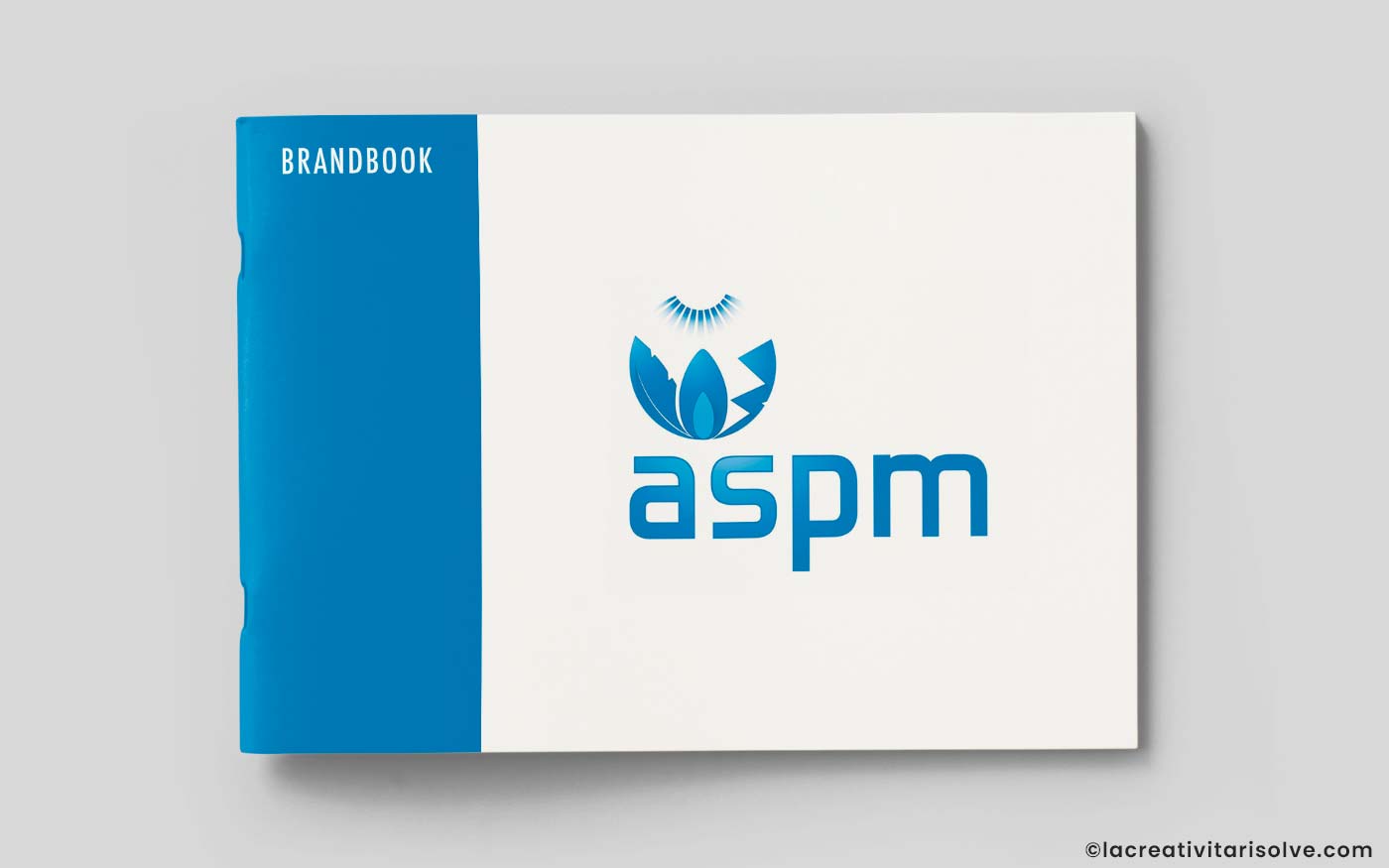 Brandbook ASPM